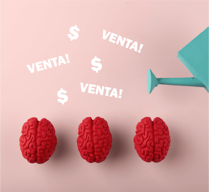 taller_neuroventa_lernium